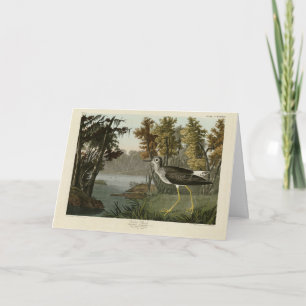 Cartão Shank Amarelo das Aves da América de Audubon