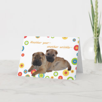 Cartão Shar Pei Another Year Older