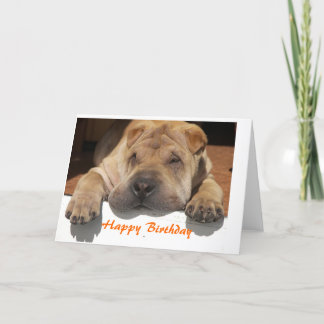Cartão Shar Pei Birthday