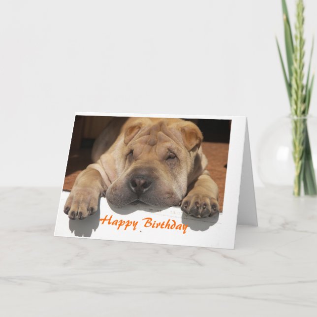 Cartão Shar Pei Birthday (Frente)