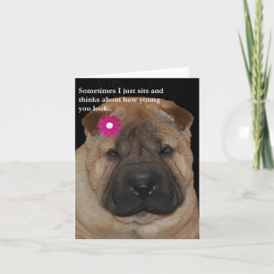 Cartão Shar Pei Birthday card-Just Sits