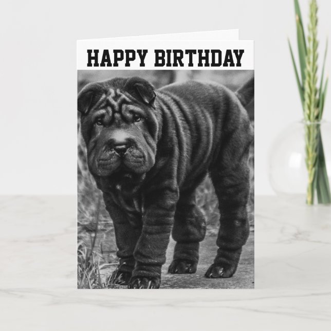 CARTÃO SHAR PEI DOG CUTE BIRTHDAY CARD (Frente)