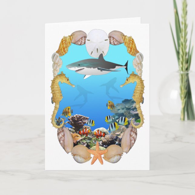 Cartão Shark and Reef Card (Frente)