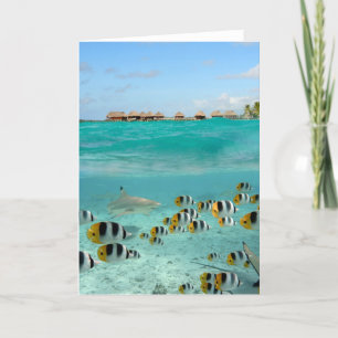 Cartão Shark chasing butterfly fish greeting card