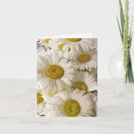 Cartão Shasta Daisies Blank Notecard