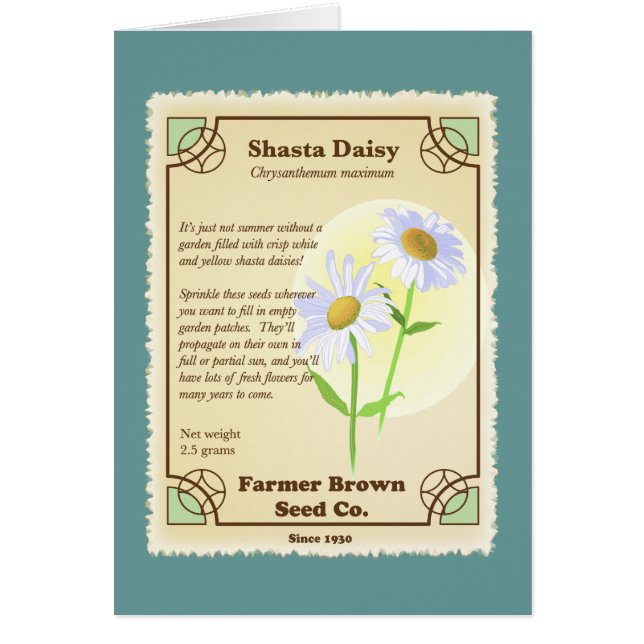 Cartão Shasta Daisy Seed Packet (Frente)