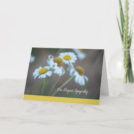 Cartão Shasta Daisy Sympathy Card-Blank Inside