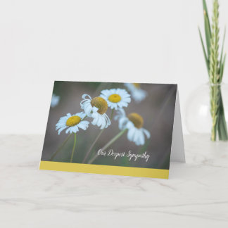 Cartão Shasta Daisy Sympathy Card-Blank Inside