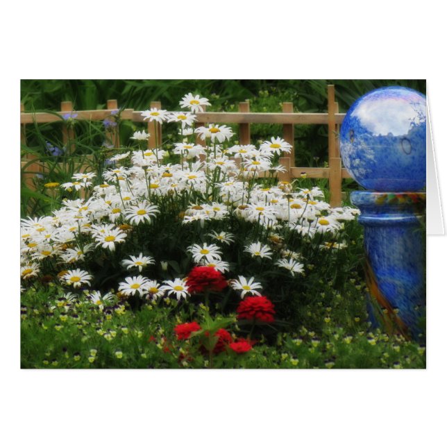 Cartão Shasta Garden - Daisies (Frente Horizontal)
