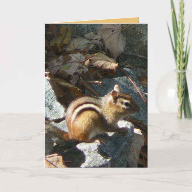 Cartão She Stopped (Frente)