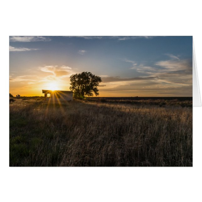 Cartão Shed Colorado Sunset Greeting Card Abandonado (Frente Horizontal)