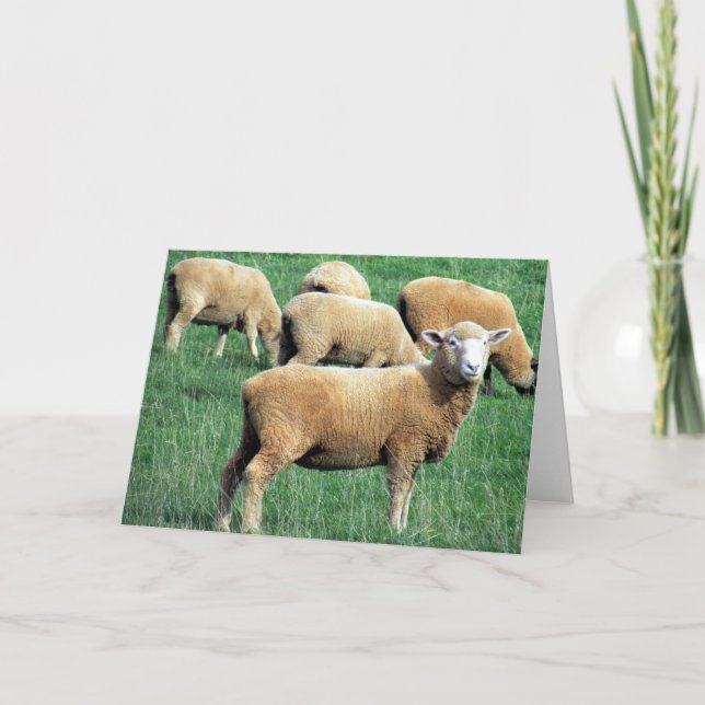 Cartão sheep smile (Frente)