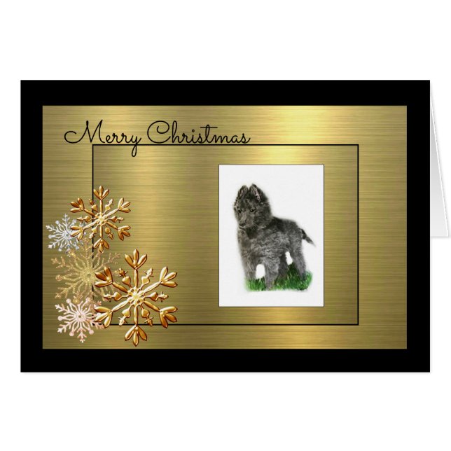 Cartão Sheepdog belga (Frente horizontal)