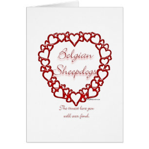 Cartão Sheepdog Belga