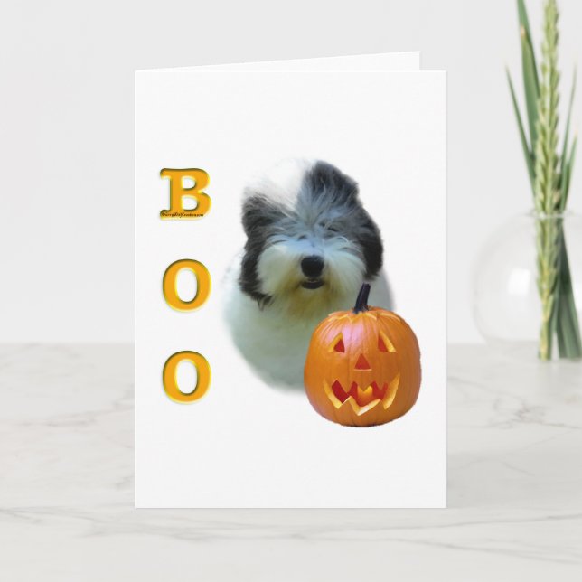 Cartão Sheepdog Boo Antigo Inglês (Frente)