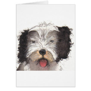 Cartão Sheepdog Puppy