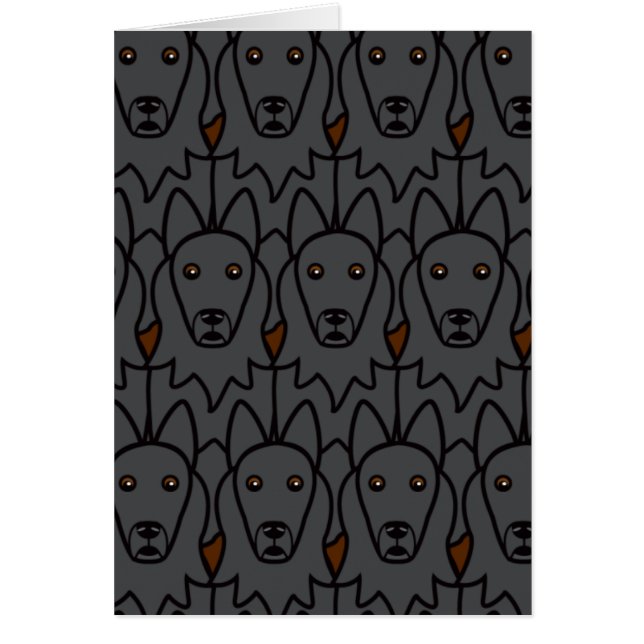 Cartão Sheepdogs belgas (Frente)