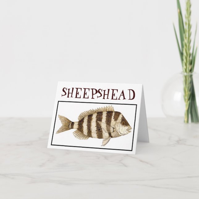 CARTÃO SHEEPSHEAD (Frente)