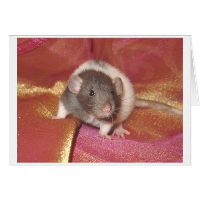 Cartão Shelby (Frente Horizontal)