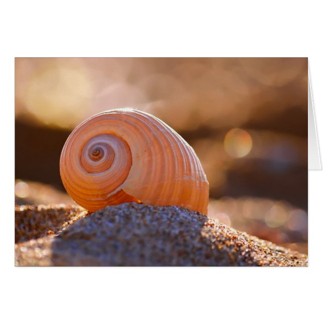 Cartão Shell Bokeh |Grécia (Frente Horizontal)