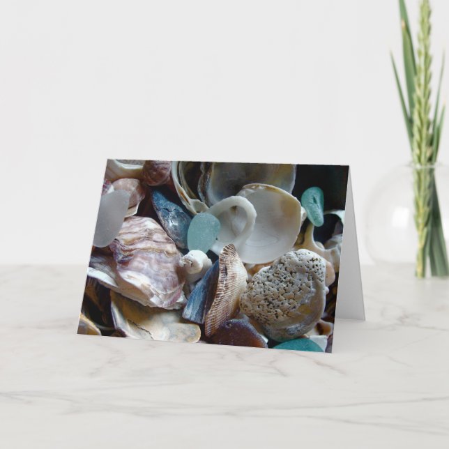 Cartão Shell Collected Greeting Card (Frente)