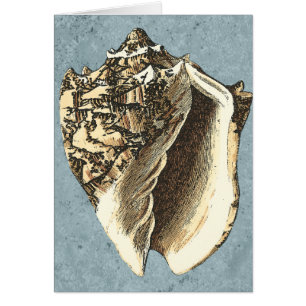 Cartão Shell de Conch com Lavagem