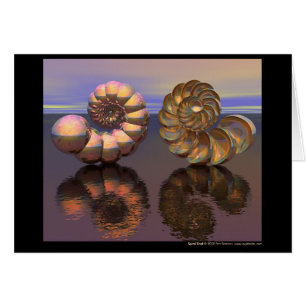 Cartão Shell espiral