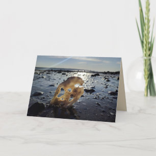 Cartão Shell on a Beach Blank Greeting Card