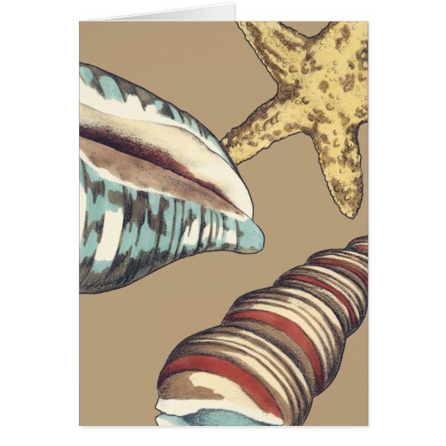 Cartão Shell Trio em Khaki (Frente)