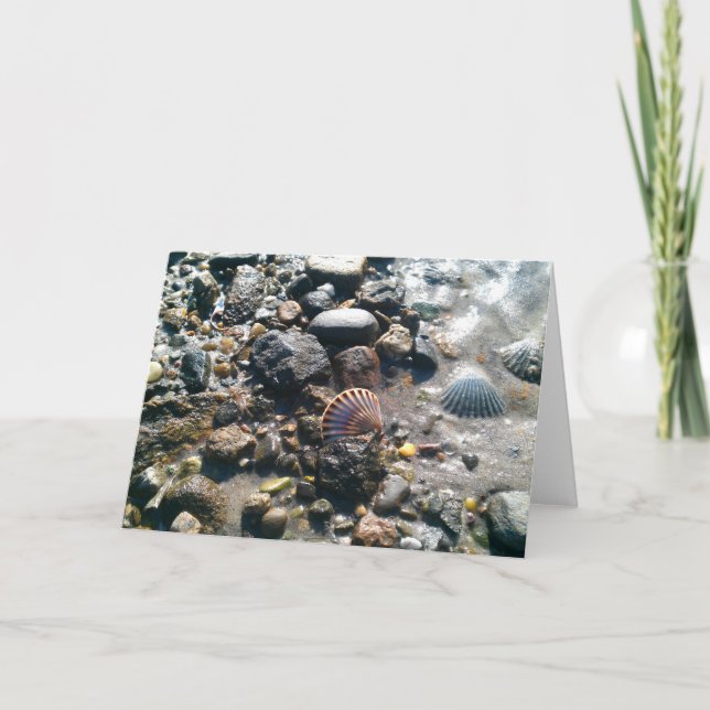 Cartão Shells on the Beach (Frente)