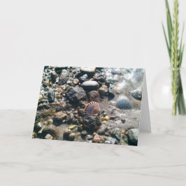 Cartão Shells on the Beach