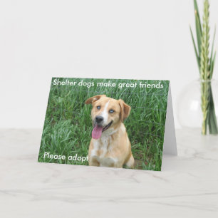 Cartão Shelter dogs make great friends 7703