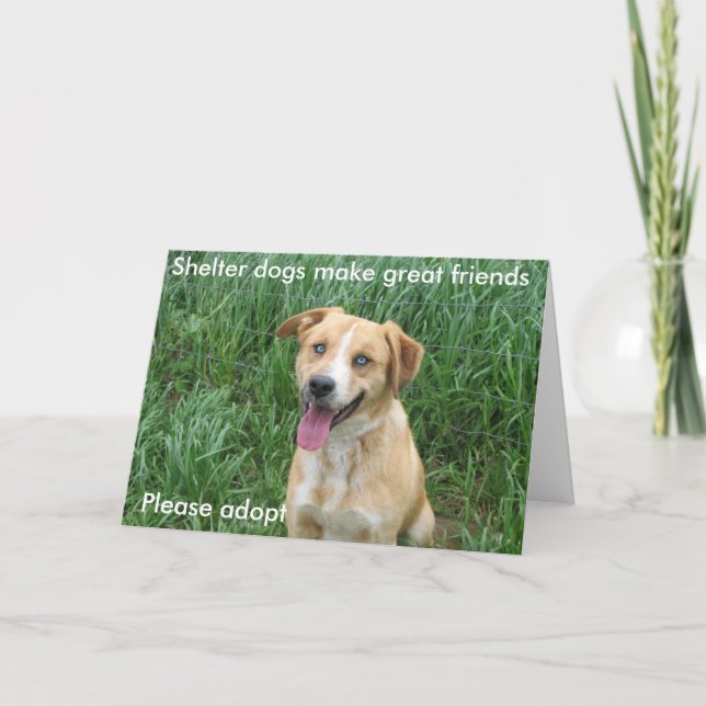 Cartão Shelter dogs make great friends 7703 (Frente)