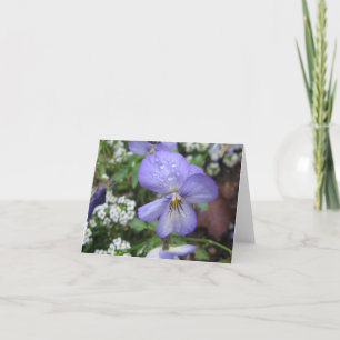 Cartão Shelter Me - Notecard