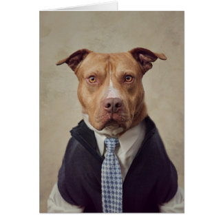 Cartão Shelter Pets Project - General Patton