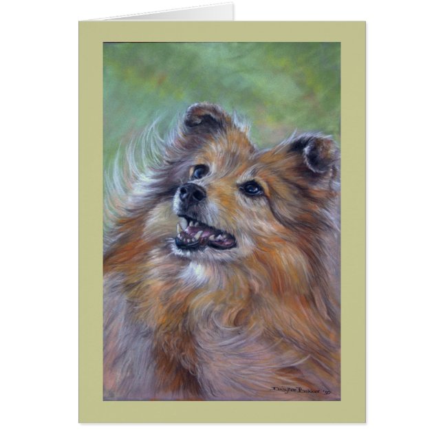 Cartão Sheltie (Frente)