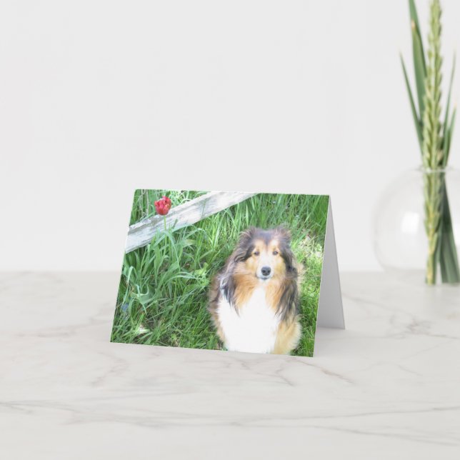 Cartão Sheltie and Tulip Note Card (Frente)