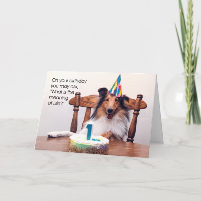 Cartão Sheltie Birthday Card (Frente)