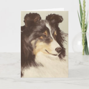 Cartão Sheltie Greeting Card