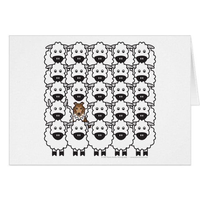 Cartão Sheltie nos carneiros (Frente Horizontal)