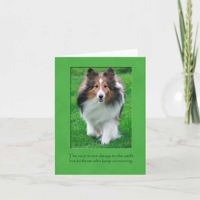 Cartão Sheltie Note Card (Frente)