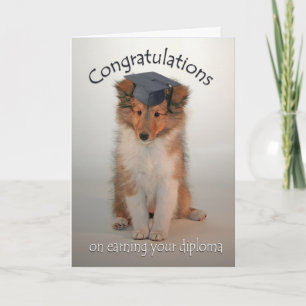 Cartão Sheltie Puppy Graduation Card