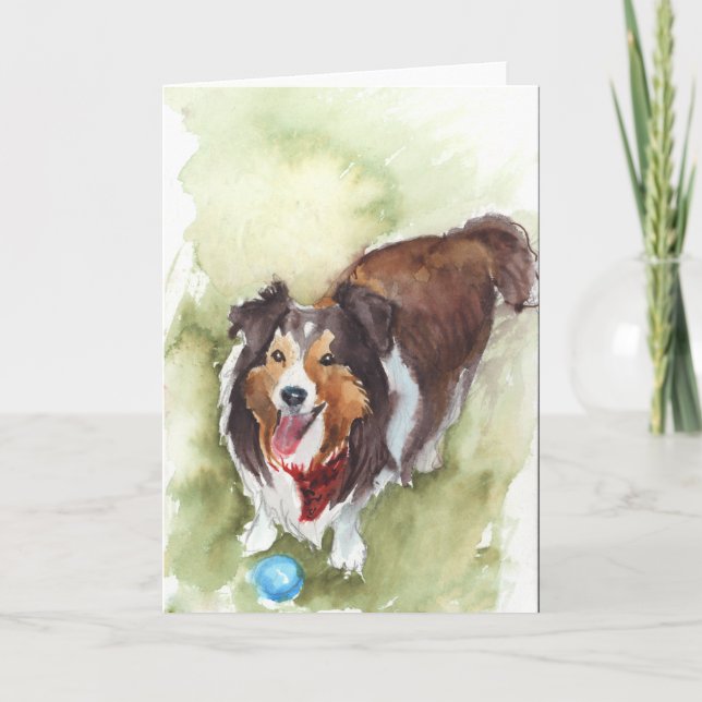 Cartão Sheltie/Shetland Sheikh Dog Greeting Card (Frente)