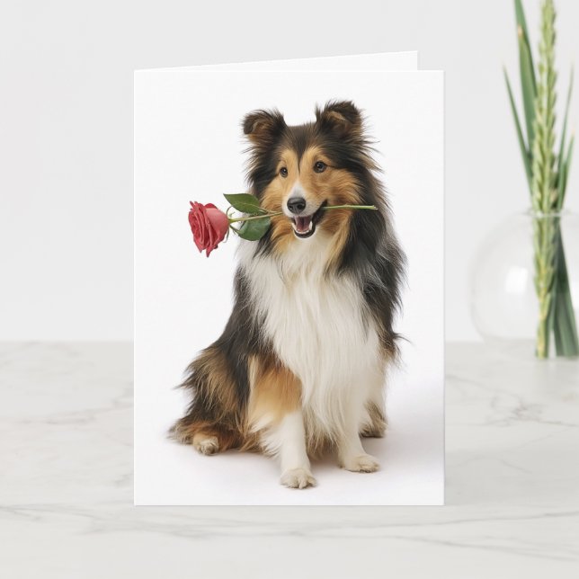 Cartão Sheltie Valentine – Coração Gentil, Amor Verdadeir (Frente)