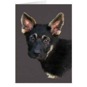 Cartão Shepard Puppy-Pastels