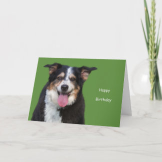 Cartão Shepherd Birthday australiano por Focus for a Caus