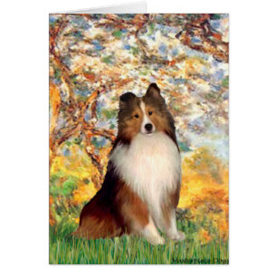 Cartão Shetland Sheepdog 1 - Primavera