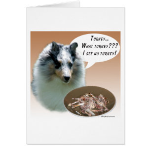 Cartão Shetland Sheepdog (Merle) Turquia