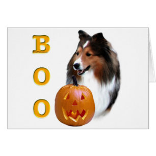 Cartão Shetland Sheepdog (sable) Boo
