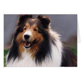 Cartão Shetland Sheepdog Sheltie Gifs